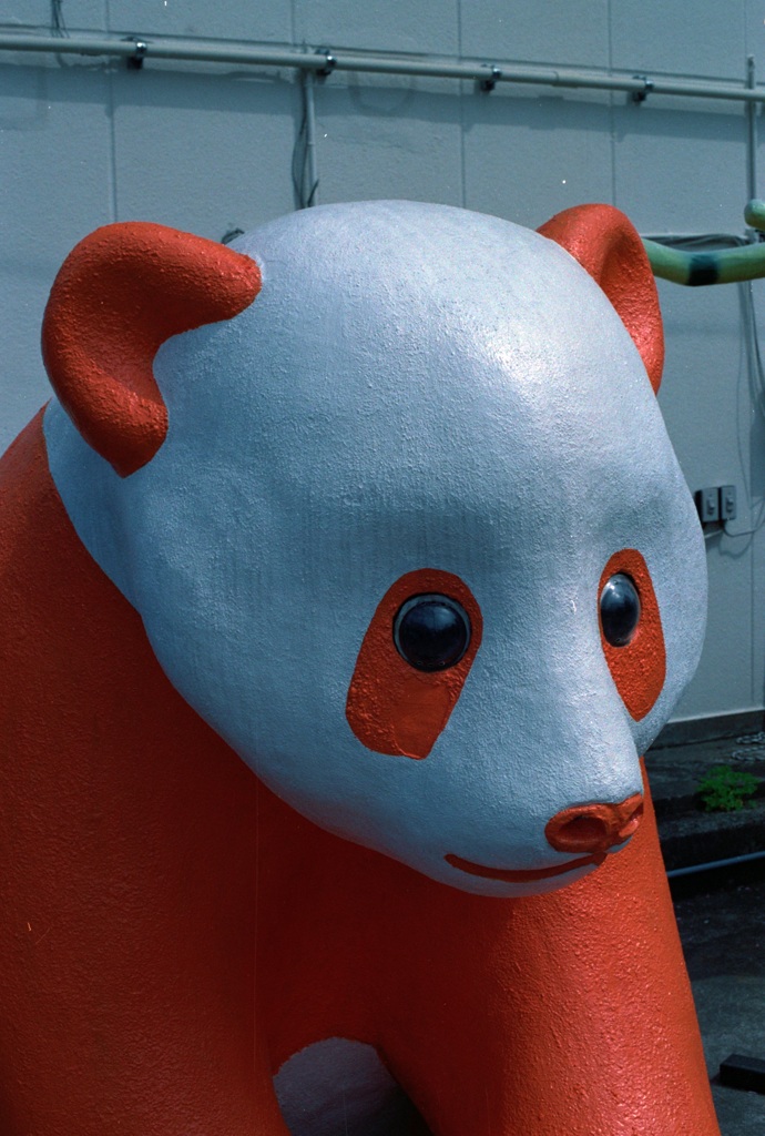 パンダ