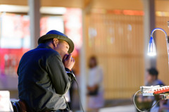 Harmonica Player
