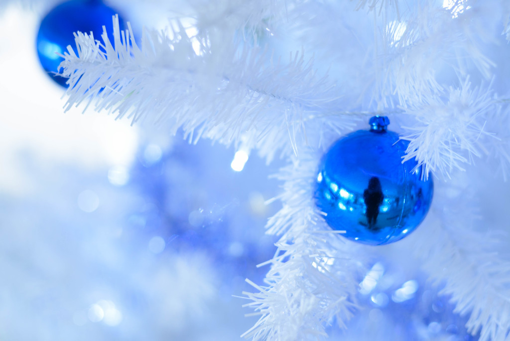 銀世界のクリスマスツリー