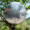 Self Photo Mirror