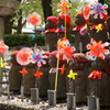 春の増上寺