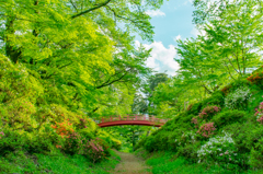 古城跡