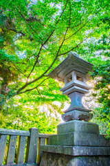 近くの神社