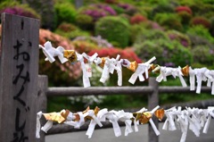 吉でも良いなぁ！
