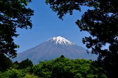 木々の額縁！