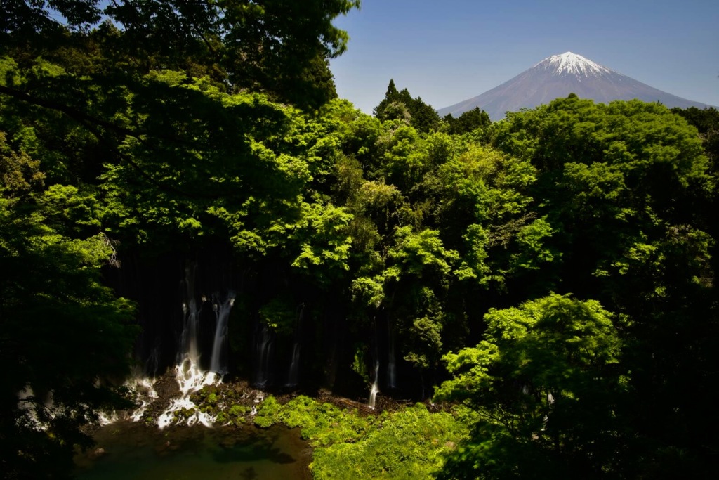 富士山も覗いてる様な(笑)