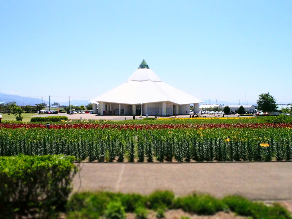 ゆりの里公園