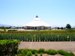 ゆりの里公園