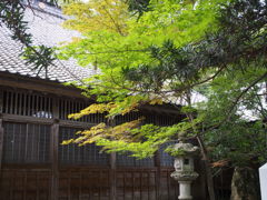 紅葉前