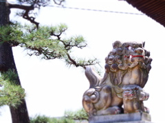 狛犬　吽形　in八幡神社