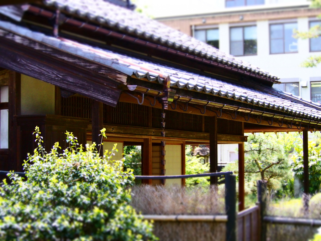 旧内山家2