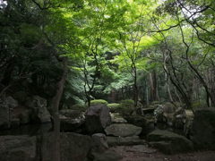 瀧谷寺　竜石庭