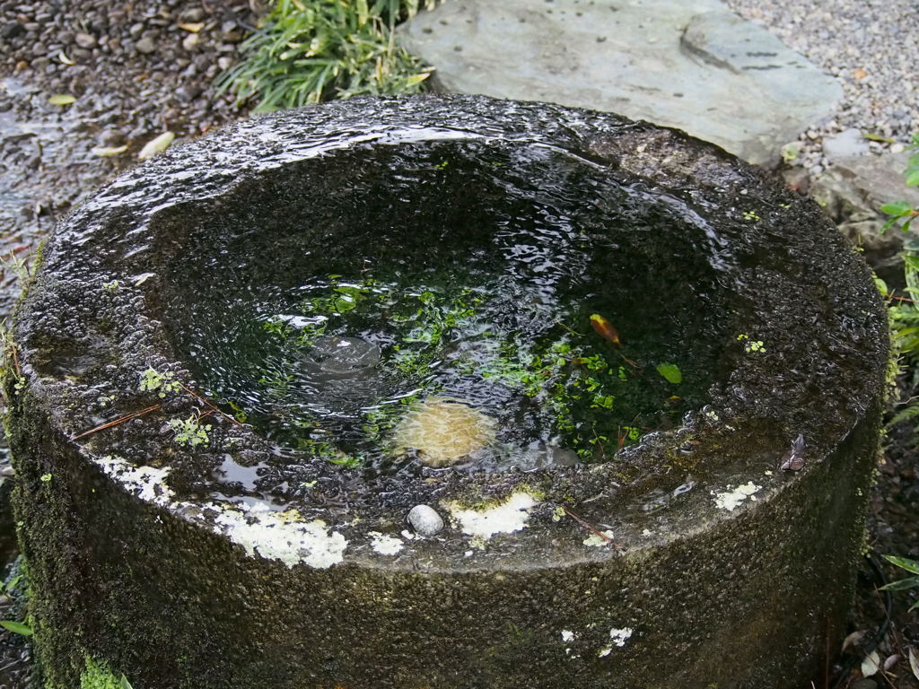 つくばい