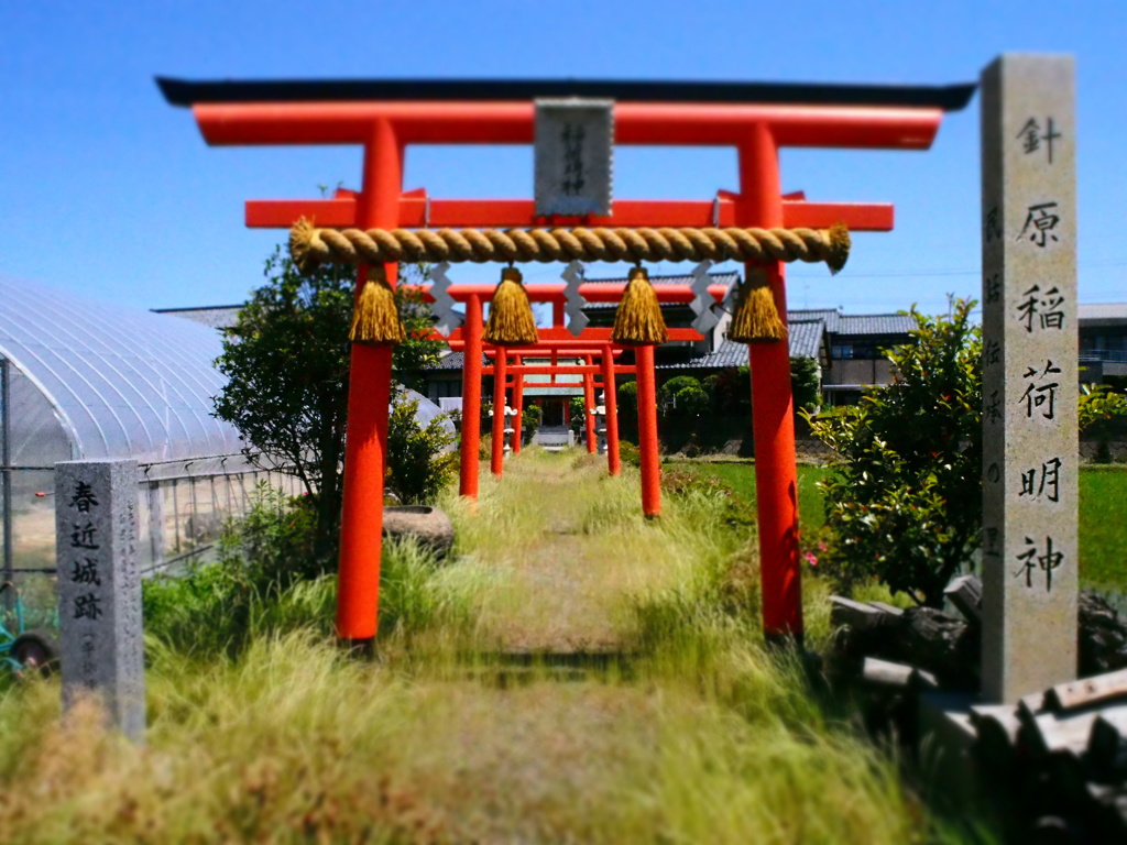 稲荷神社（小）