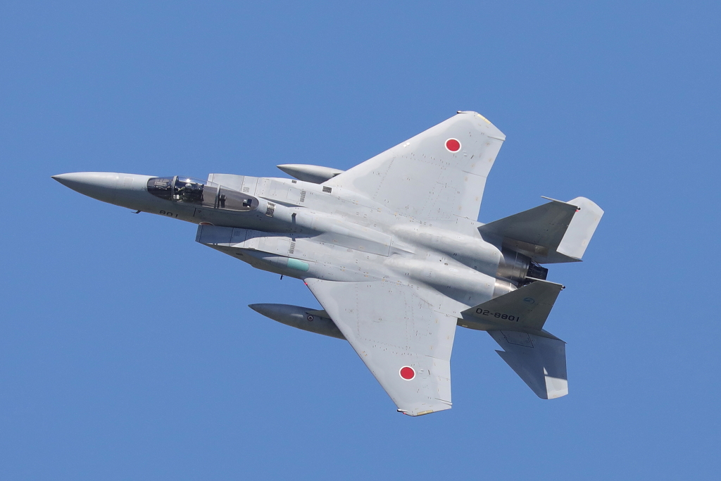 背中の美学