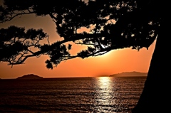 初 夕暮れ
