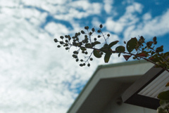 秋空