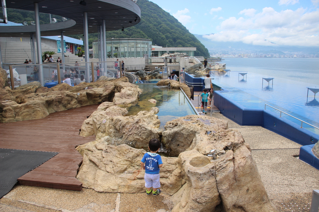 水族館 屋外