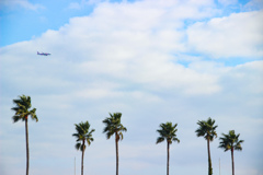 夏の空