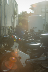 バイクはやっぱりカブが好き