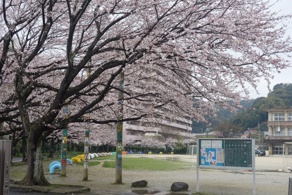 そろそろ入学式