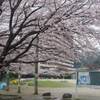 そろそろ入学式