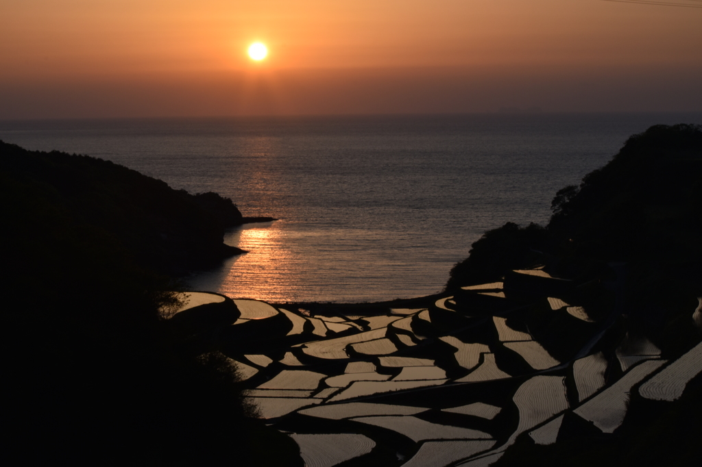 玄海町浜野浦の棚田