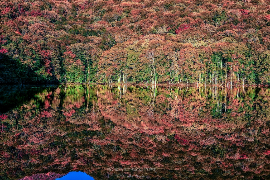 朝焼け後、風止む