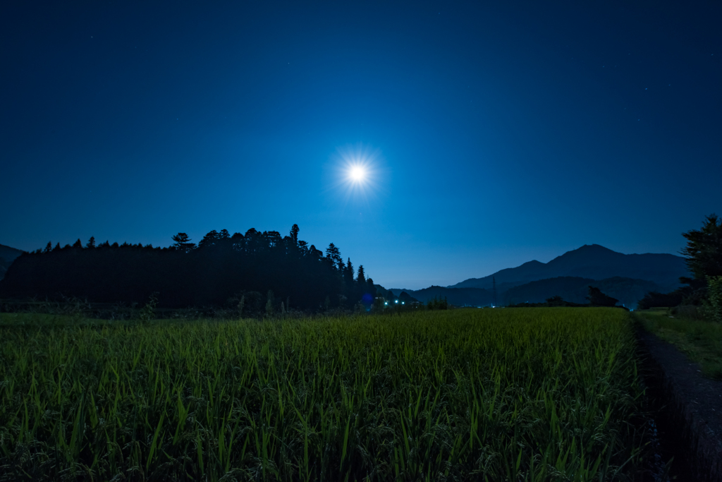 里山の夜