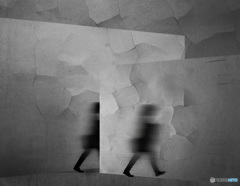 私の行く道