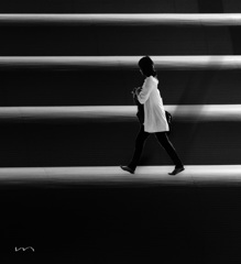 ストライプ