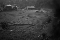 谷間の波打ち際