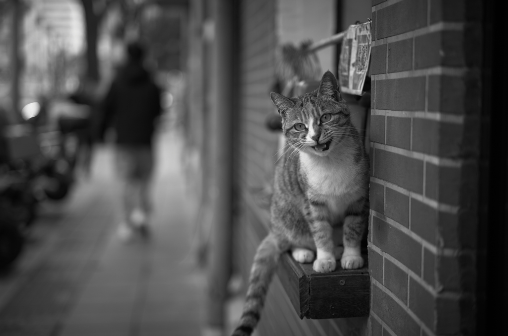 微笑みがえし