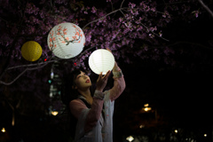 限りある命咲く