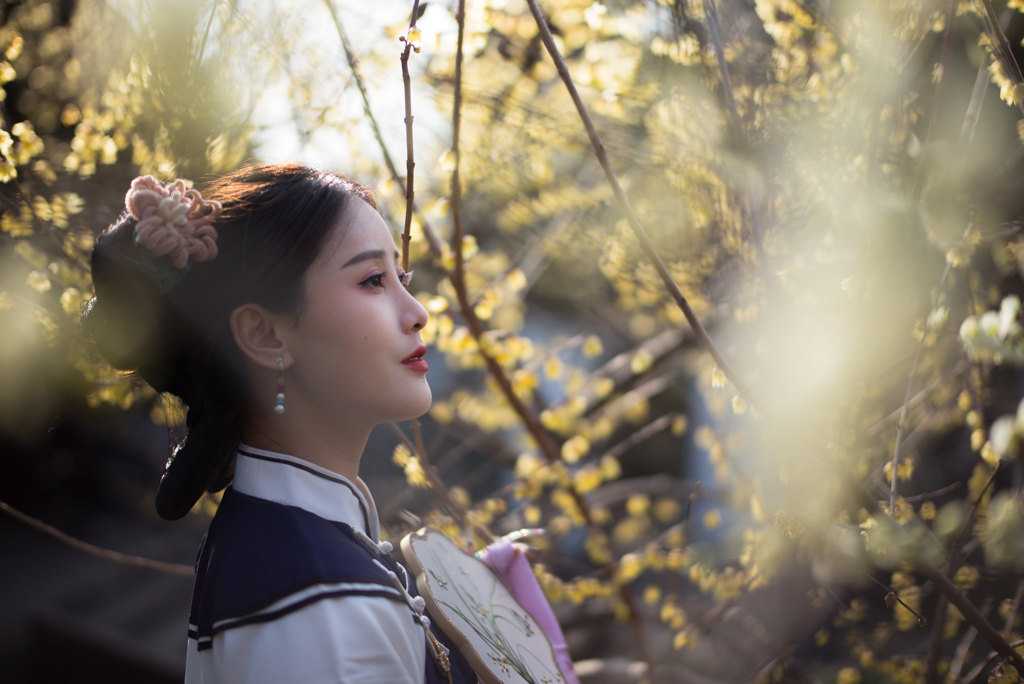 光の園
