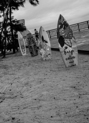 泳ぎたい板たち