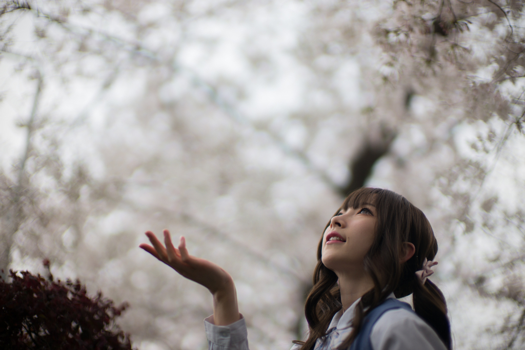掌においで