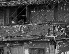 往来を見つづけてきた