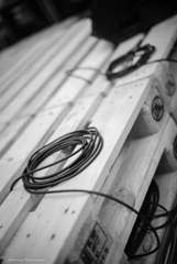 本番前　興奮する黒蛇