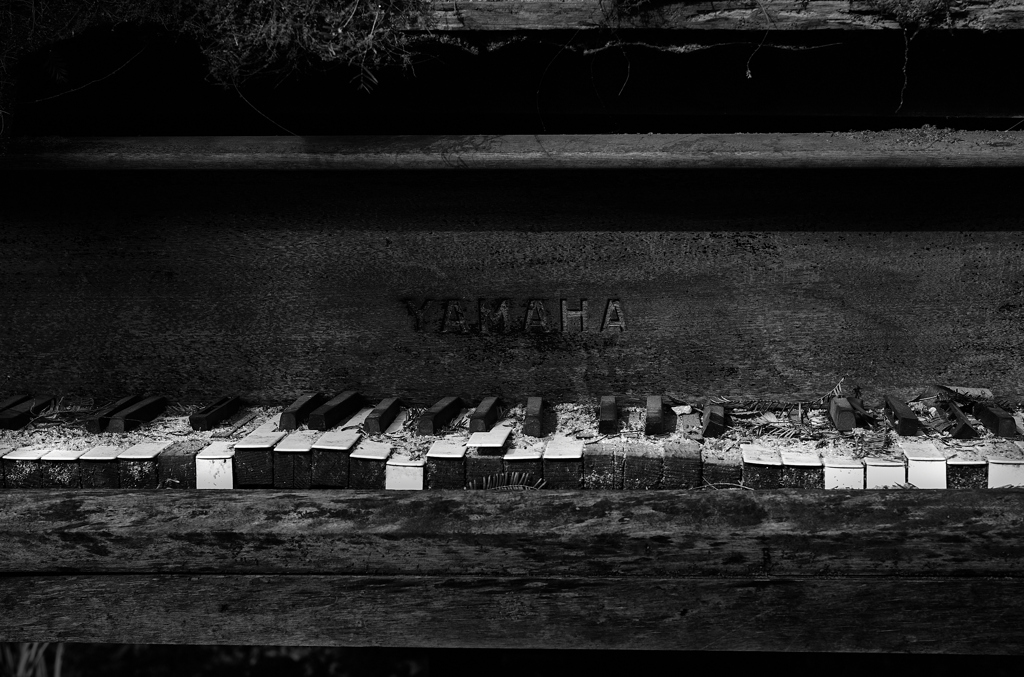 Finale, Op. 40