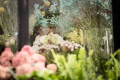 香る森に暮らす