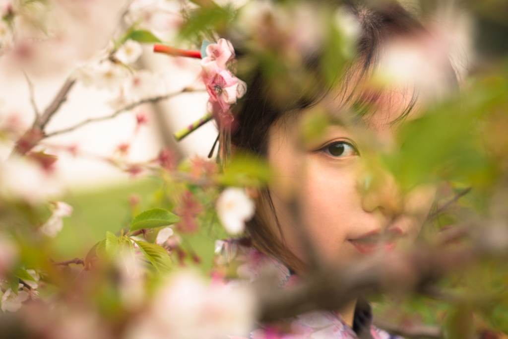 桜　葉に隠れ