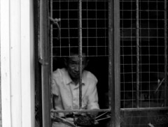 大蒜の香ばしさ　昼。