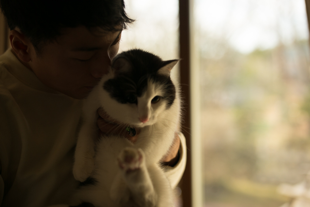 太陽の匂い