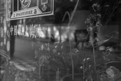 呼吸している街