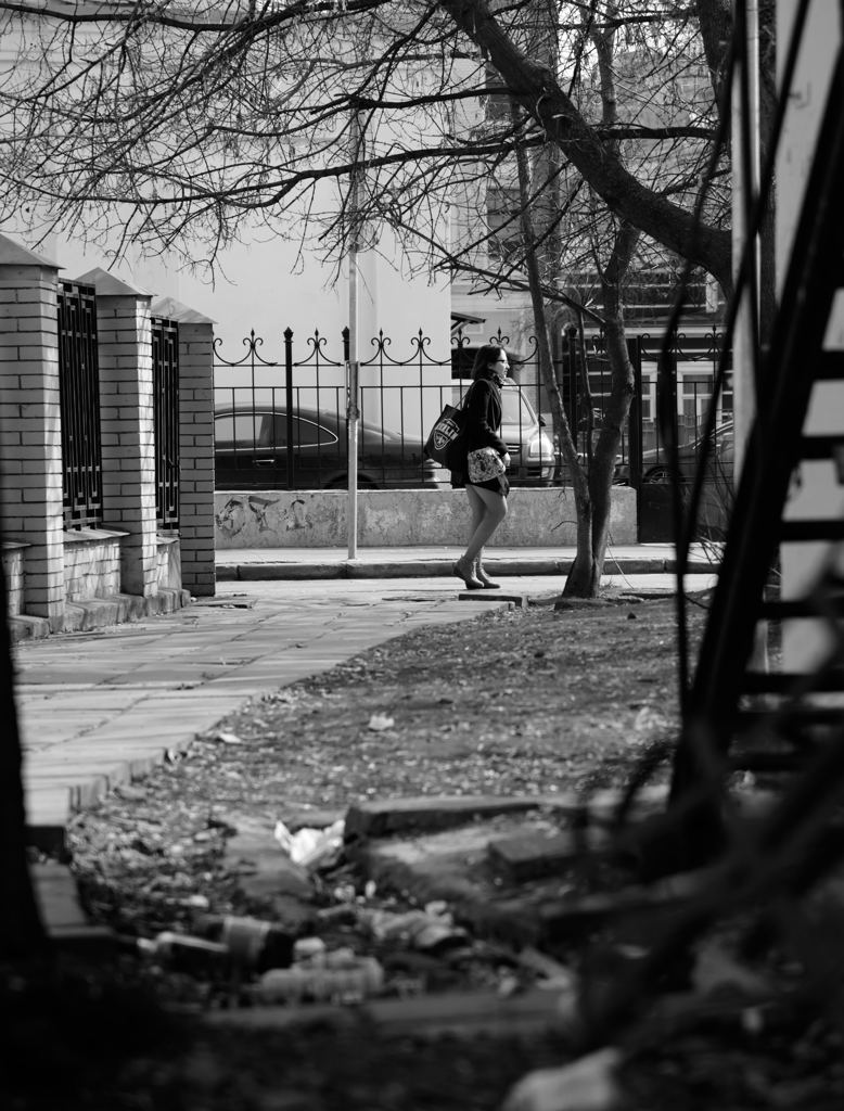 やわらかな陽射し