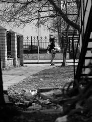 やわらかな陽射し