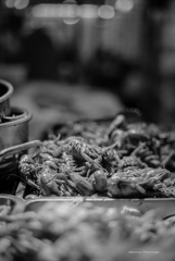 旬の食材
