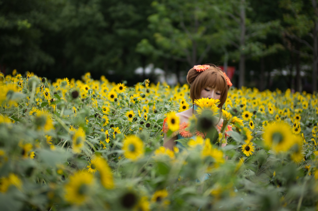 花になりたい乙女