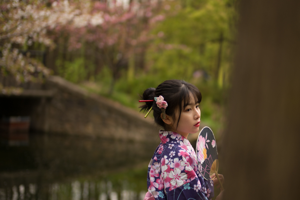 桜　さくら